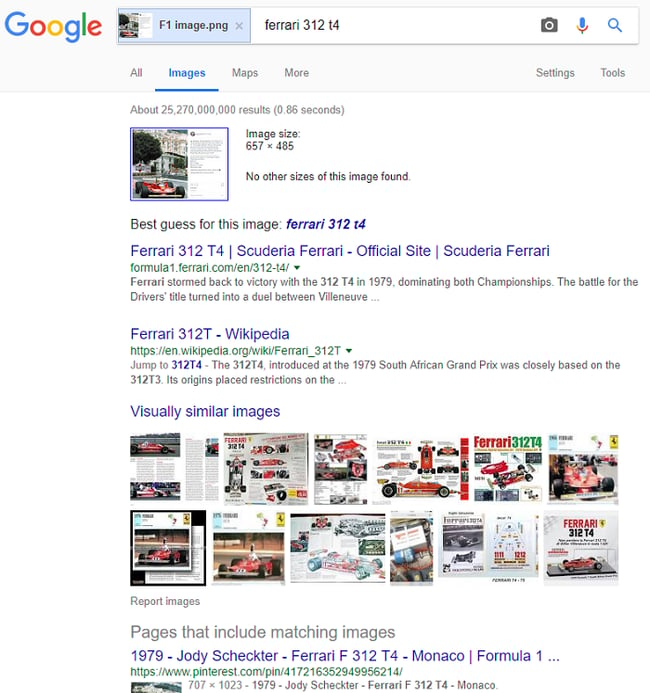 Google reverse image example of image recognition tool