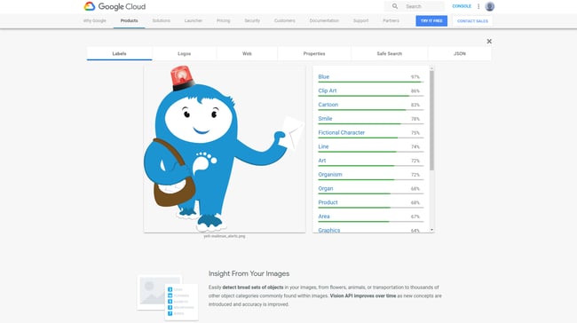Image Content Analysis -  Google Cloud